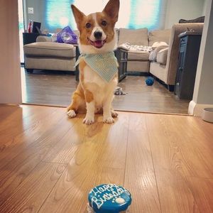 Meet the staff & the Poshing Peach 🖤🍑